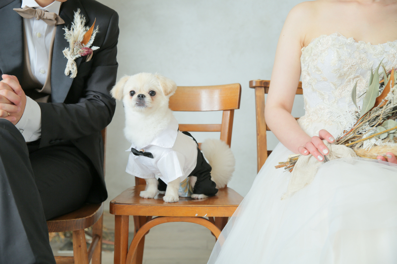 タキシードに変身！