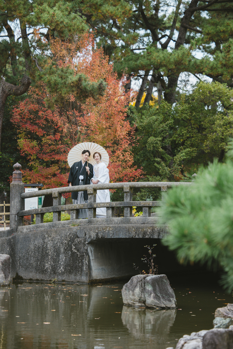 紅葉と常緑樹。