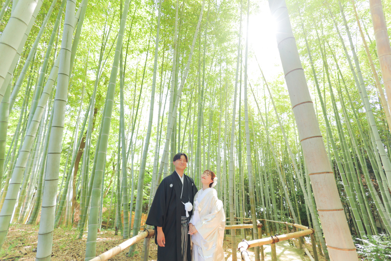 竹林で