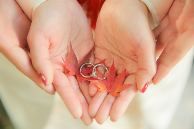 落ちている葉っぱで演出を