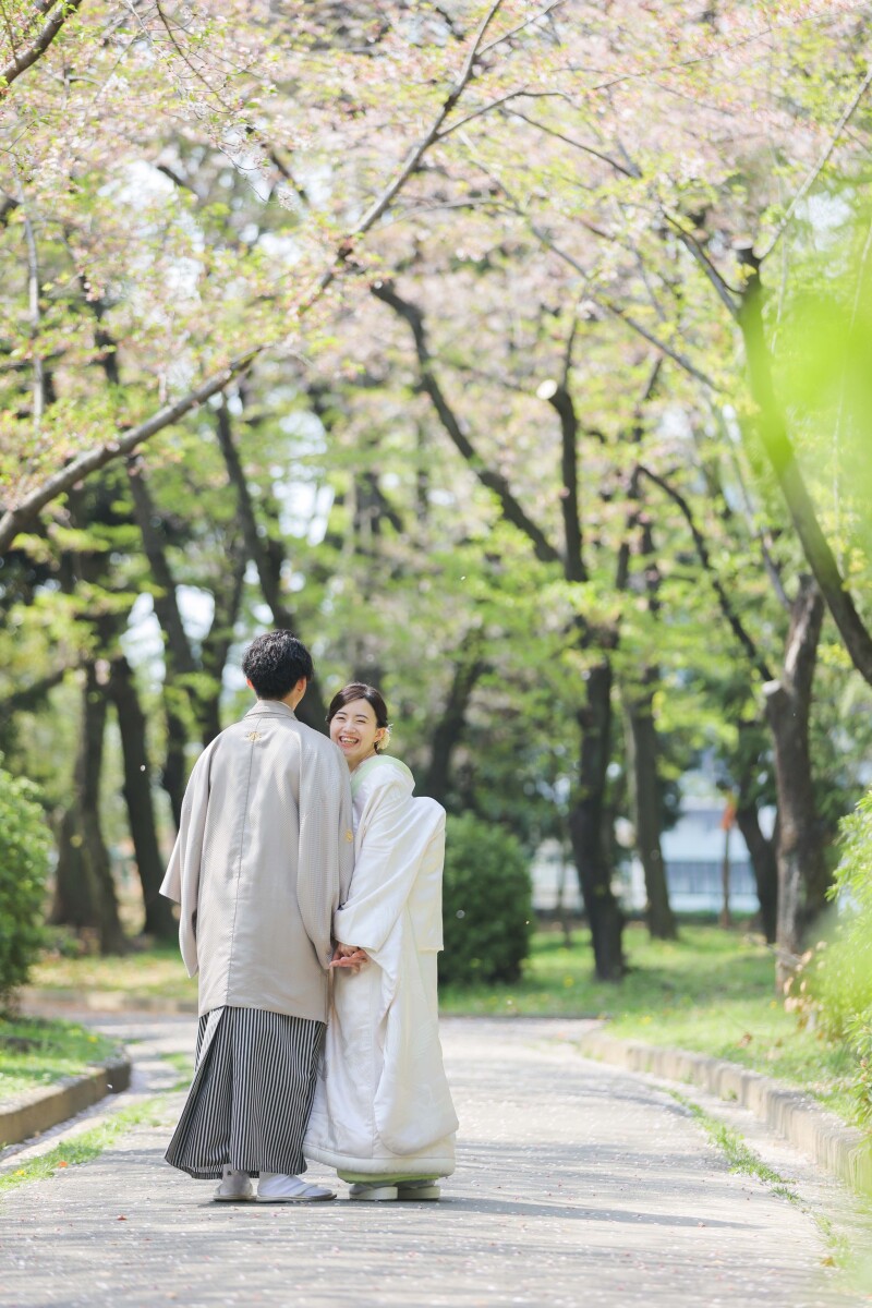 名古屋城×4月桜