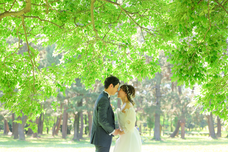 緑の綺麗な時期