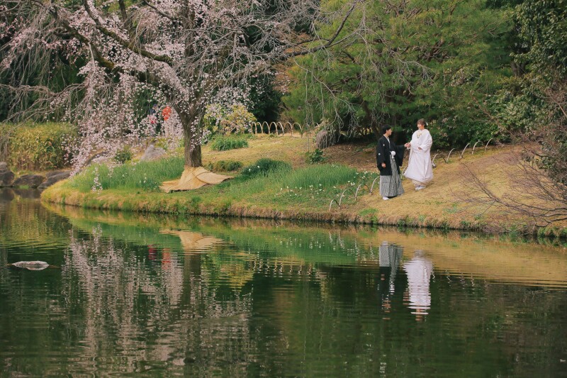 遠目からのカット