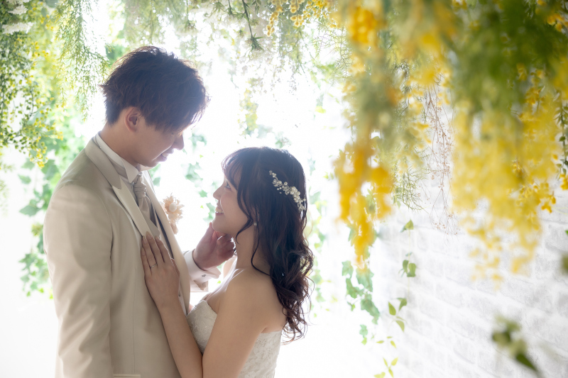 ふんわりした光で