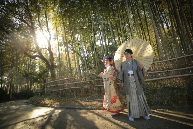 白鳥庭園の竹林