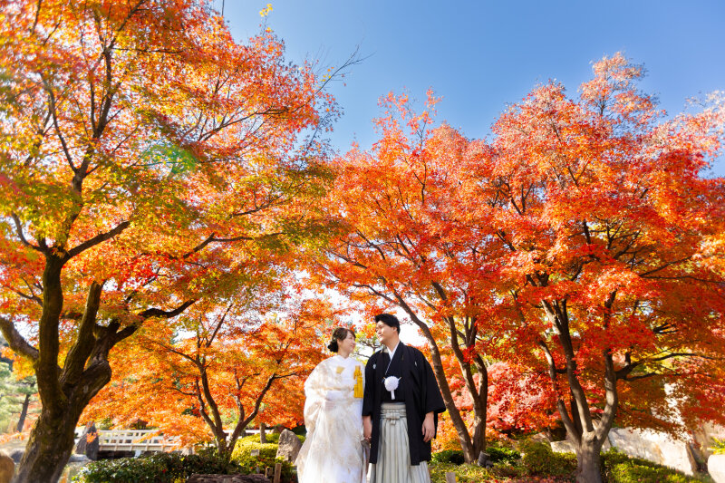 2024年紅葉レポート！