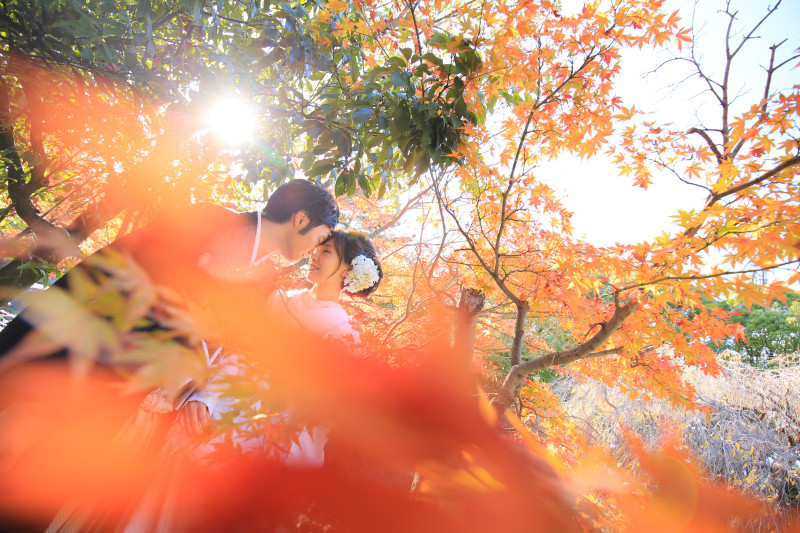紅葉ロケーション白鳥庭園