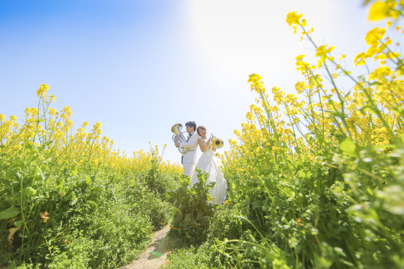 菜の花に囲まれて