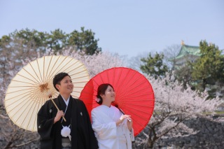 桜咲き誇る名古屋城！