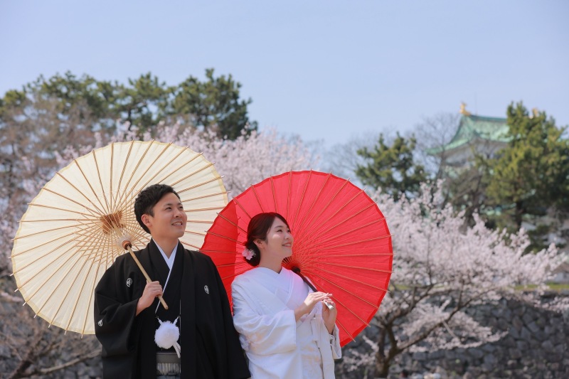 桜咲き誇る名古屋城！