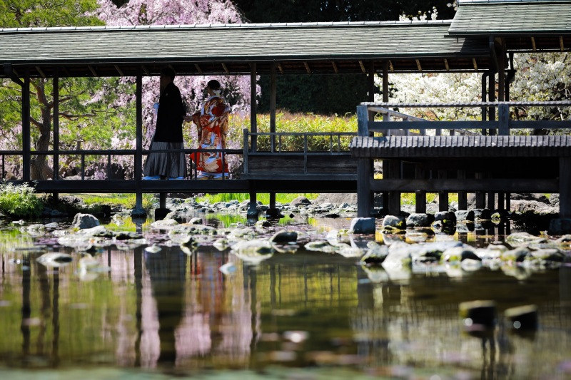 このようなショットも