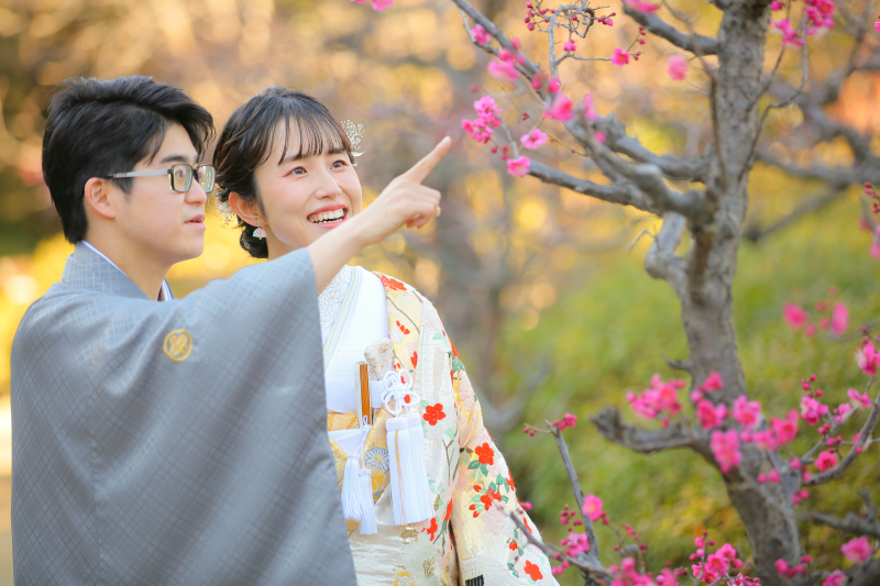 梅が咲き始めました