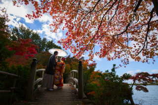 秋のおすすめ！洋和ロケーション