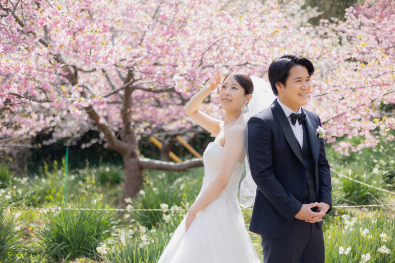 ふんわりした光と共に