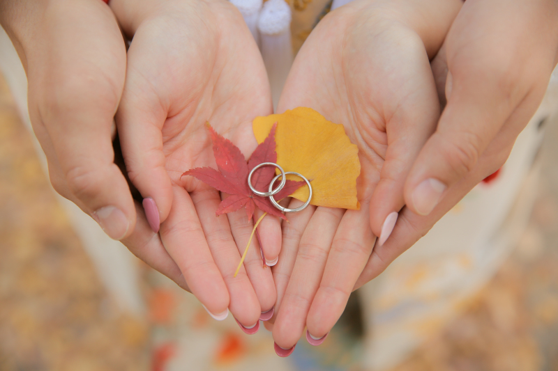 落ちている落ち葉でも