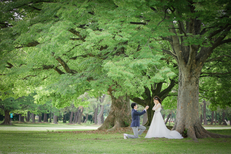 大きな木の下で