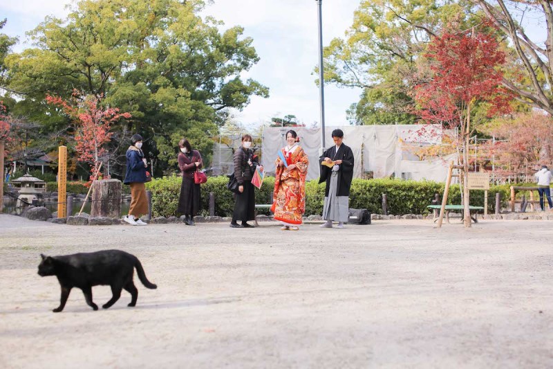 サプライズ登場