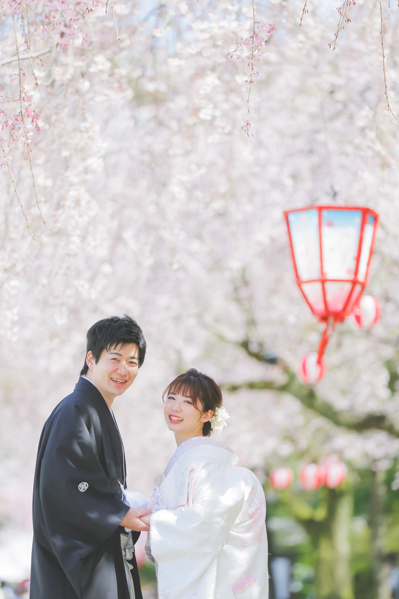 桜の下
