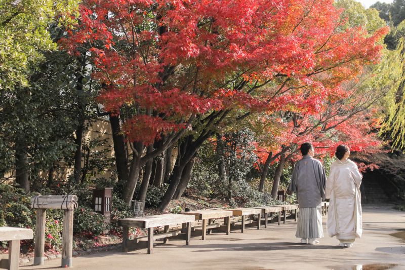 景色を楽しんで