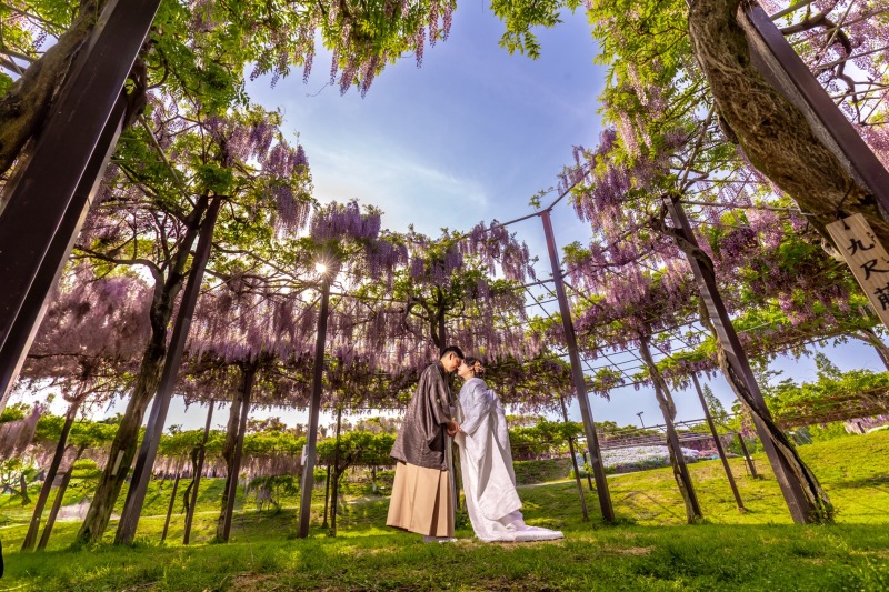 囲まれるように