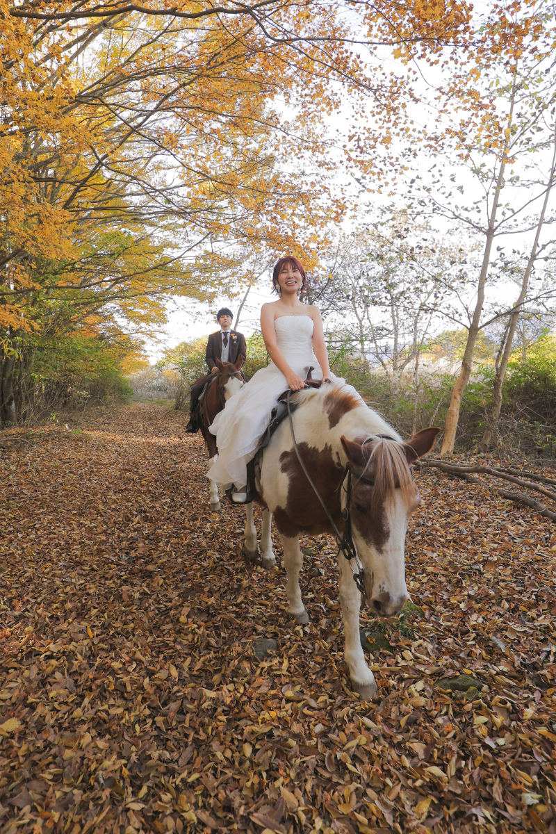 乗馬も慣れたものですね！