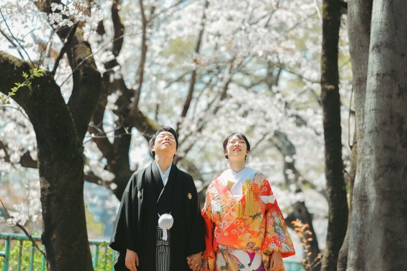 空を見上げて、日差しを吸い込んで頂きました