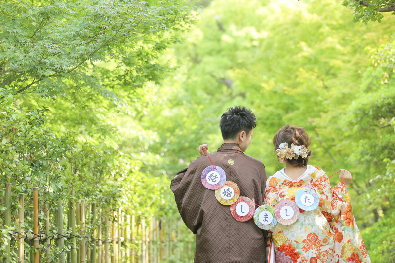 緑の綺麗な時期！