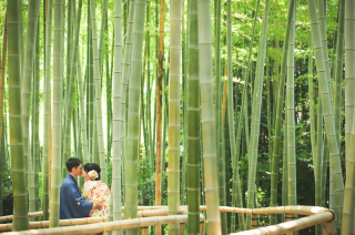 オススメ！日本庭園でのロケーション撮影