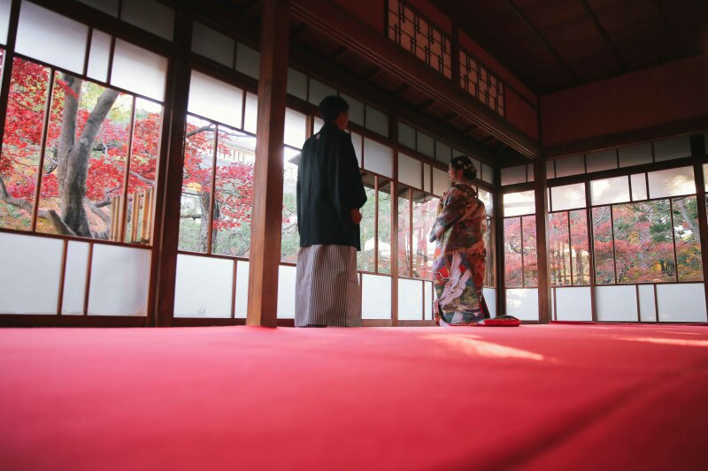 室内からの眺め