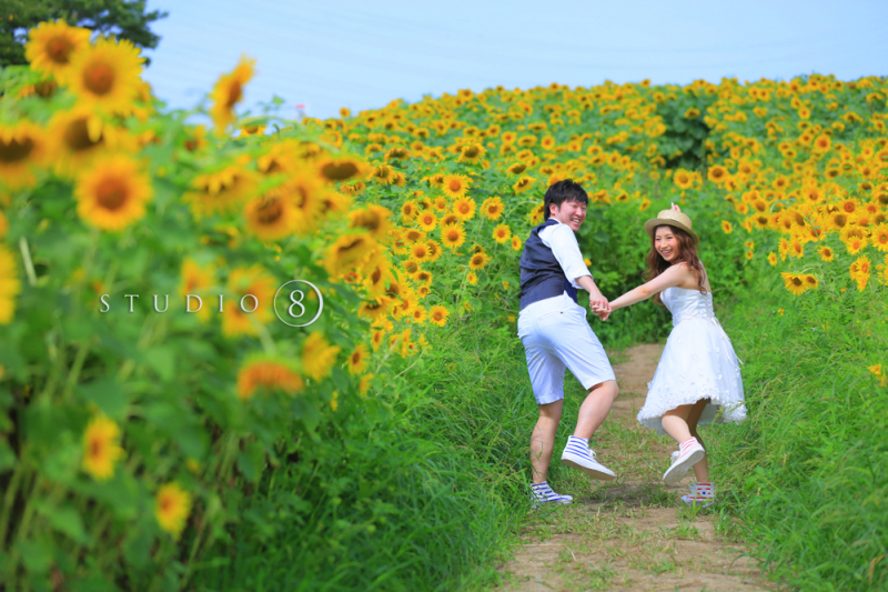 そしてひまわり畑へ・・・