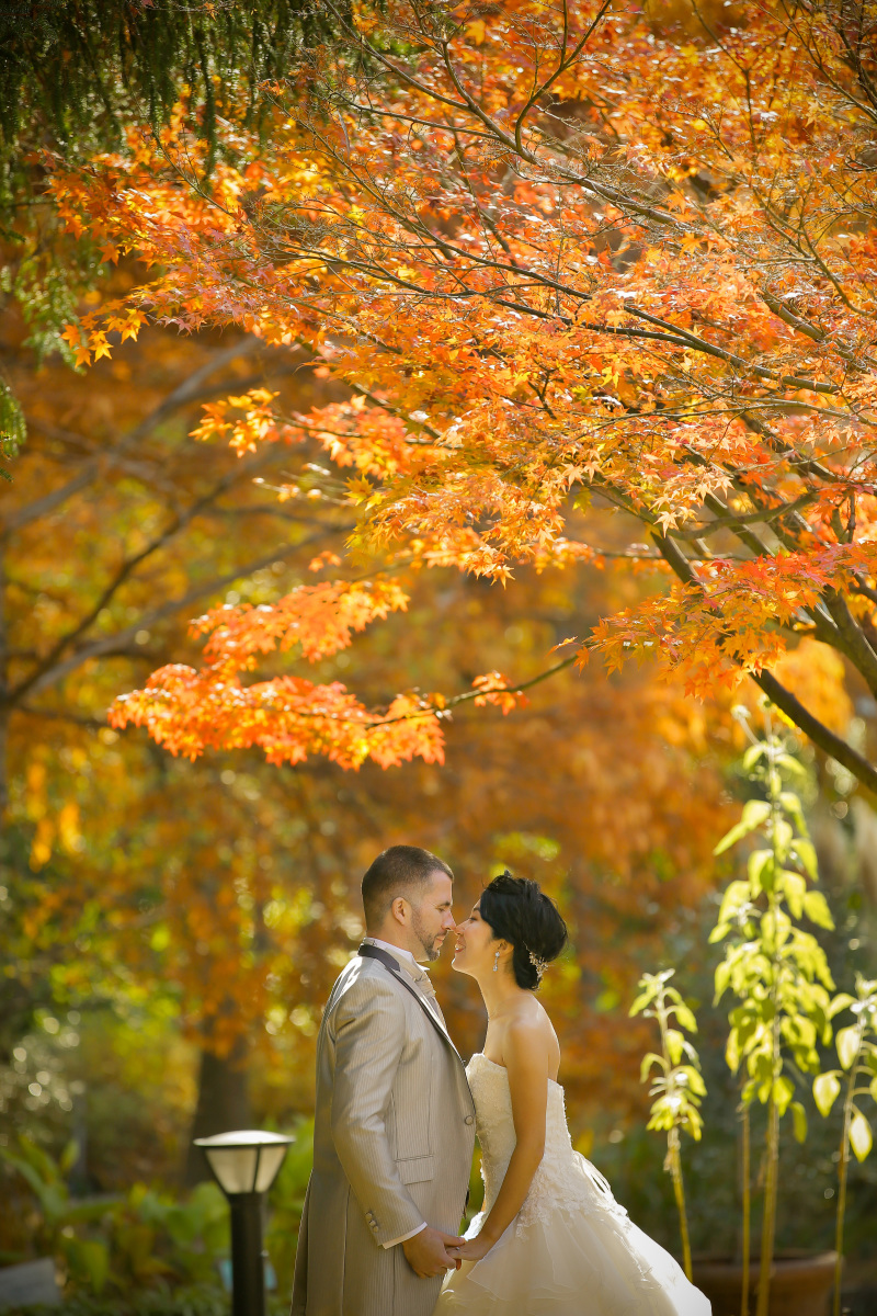 紅葉も良い感じです。