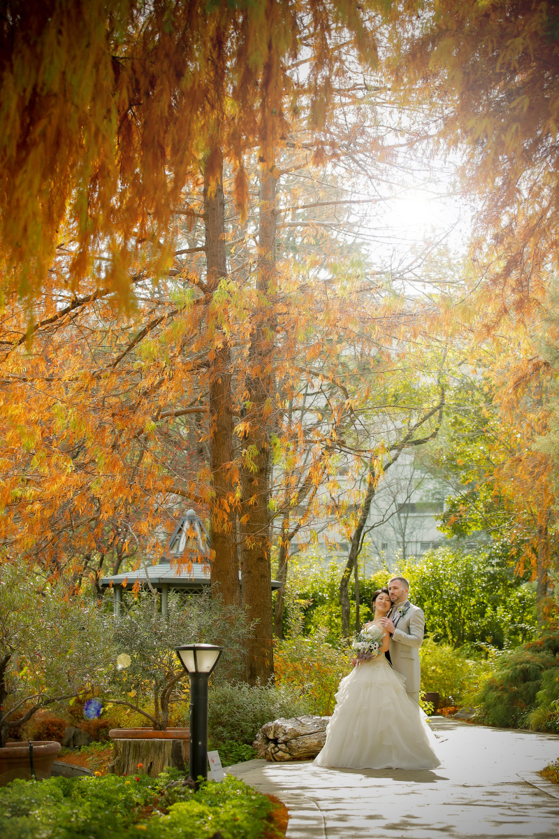 高さを強調したショット。