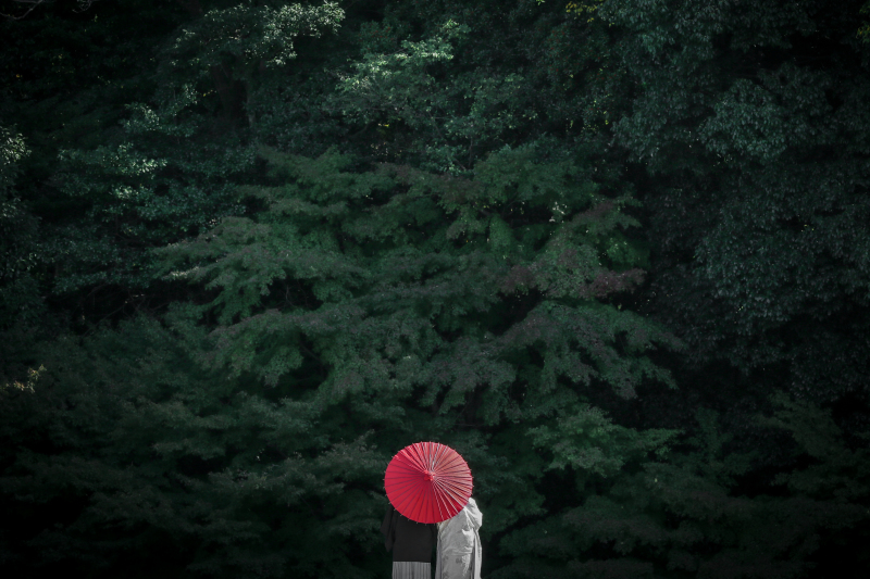 エモーショナル