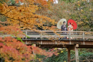 今年最後の？紅葉ロケ
