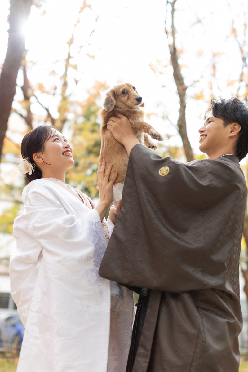 紅葉ロケーション