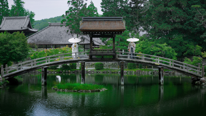 橋の上