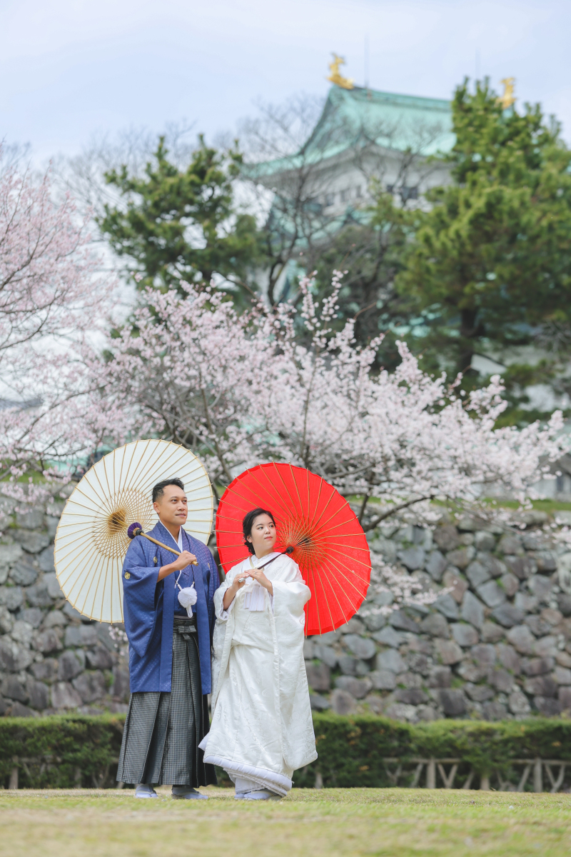 お城、桜、和傘