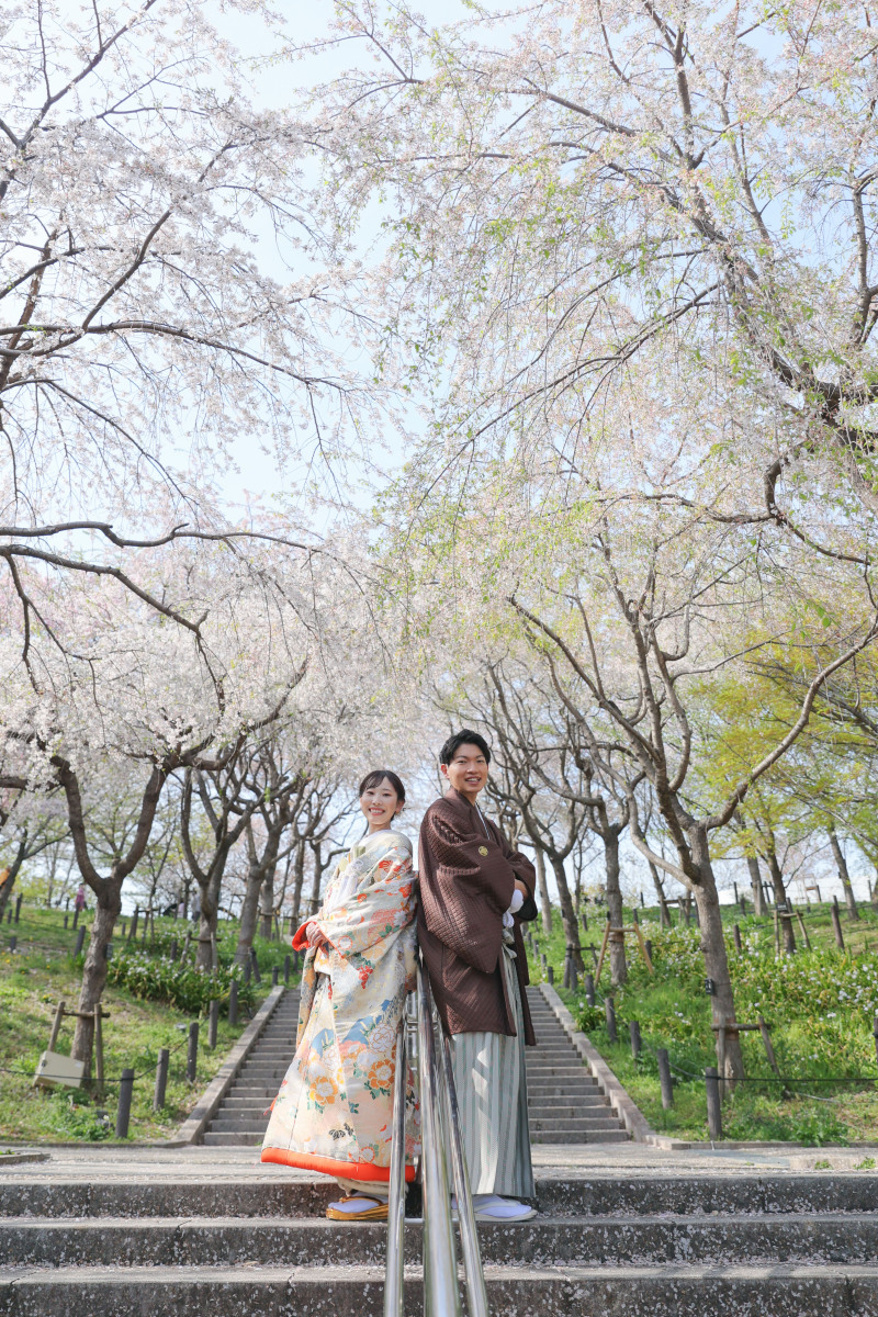 桜並木に囲まれて