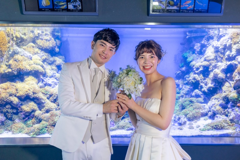 水族館が好きな方に