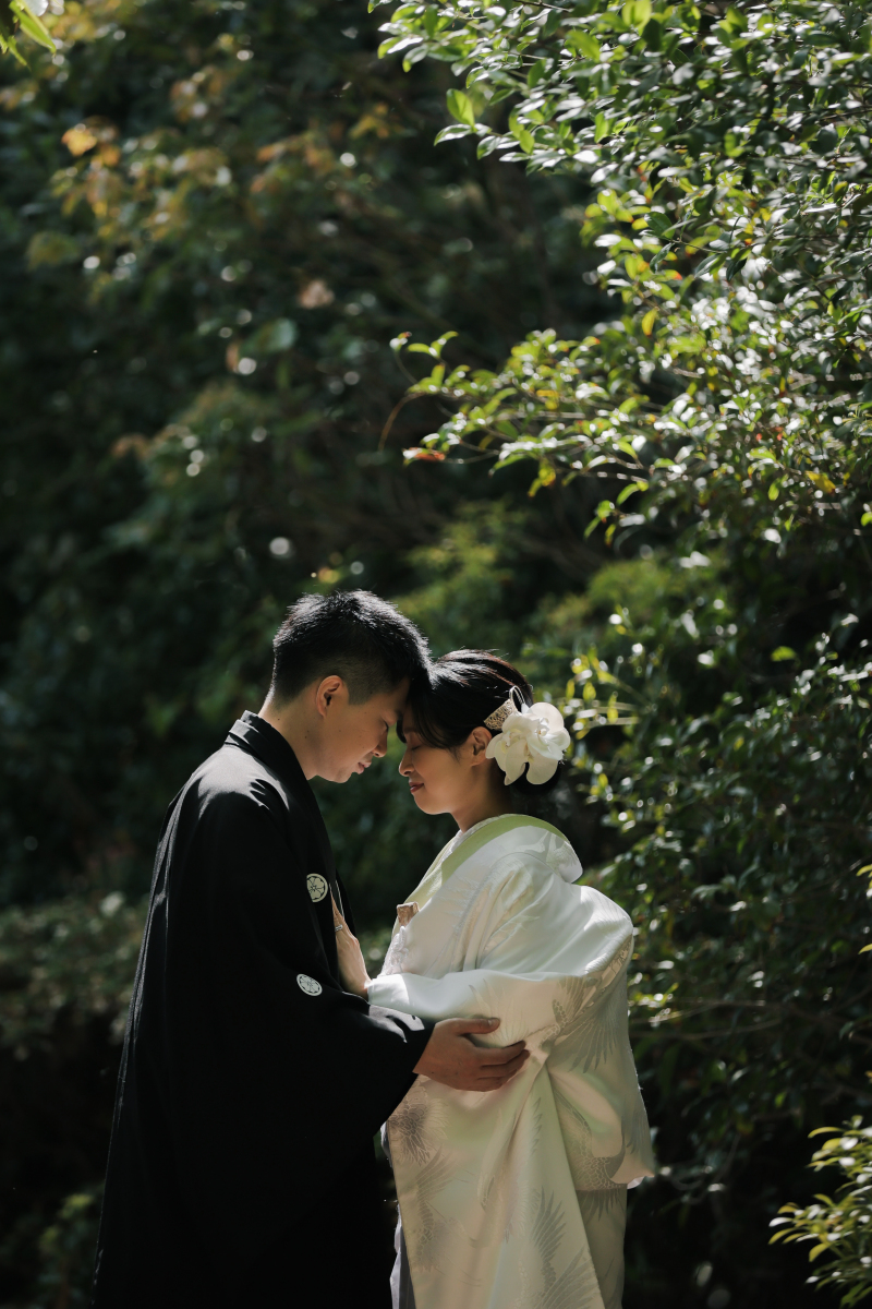 光差し込む新緑に囲まれて