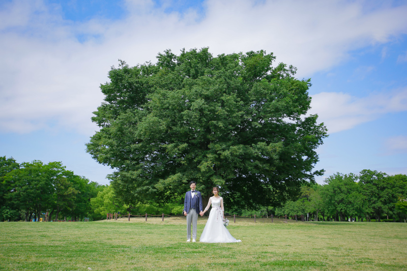 見事なロケーション日和