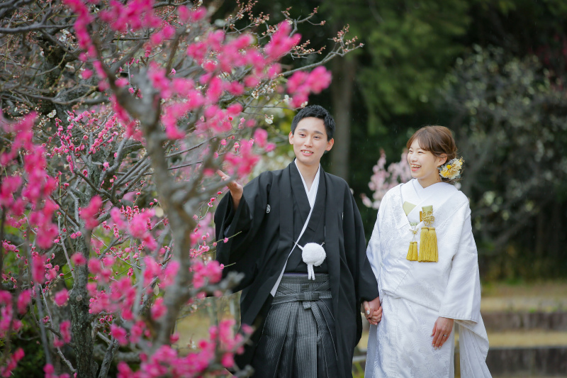 白鳥庭園(梅の季節です)