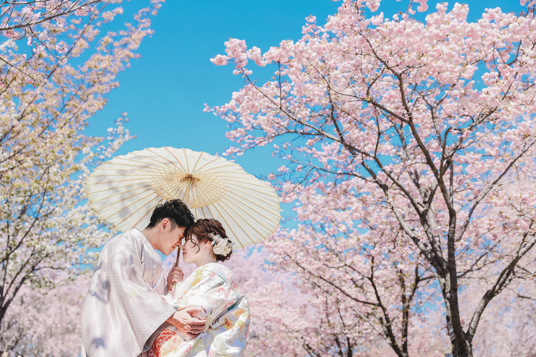 20以上ある撮影シーン