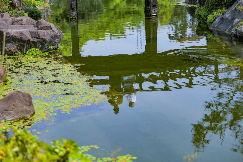 STUDIO 8 名古屋店(スタジオ8)_庭園で撮影できる