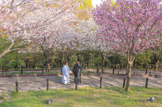 STUDIO 8 名古屋店（スタジオ8）_和装：東山動植物園