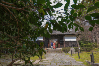 STUDIO 8 名古屋店（スタジオ8）_和装：東山動植物園