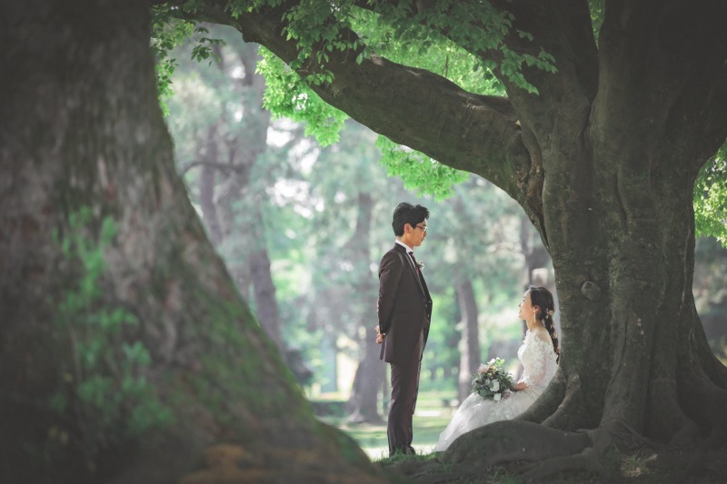 撮影スポット画像