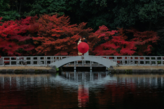 名古屋でもこんなに幻想的に撮影できます。