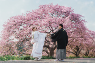 先着20組・伊豆 河津桜【選べる2箇所】和装＆洋装ロケーション