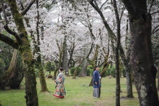 2026年1月31日までの撮影で選べる特典付き！【基本料金19,800円！】和装or洋装選べるロケーションプラン